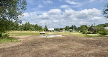 Plot of land in Rakauski sielski Saviet, Belarus
