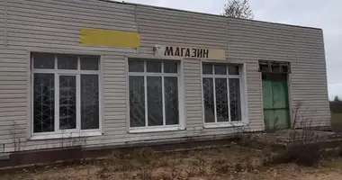 Shop 379 m² in Kochanauski sielski Saviet, Belarus