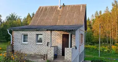 Haus 3 zimmer in Usa, Belarus