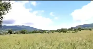 Grundstück in Tianeti, Georgien