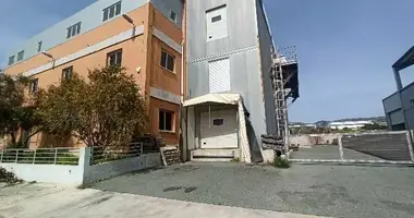 Warehouse 1 615 m² in Trimithousa, Cyprus