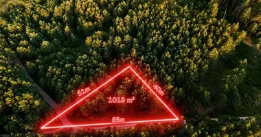 Terrain dans Radzyny, Pologne