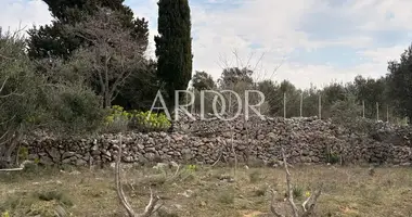 Terrain dans Barbat, Croatie