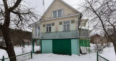 House in Zdanovicki sielski Saviet, Belarus