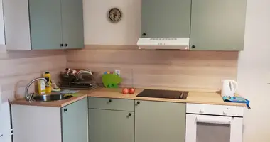 1 room apartment in Saint Petersburg, Russia