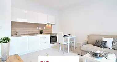 Appartement 1 chambre dans okres Brno mesto, République tchèque