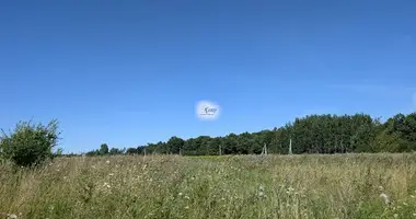 Участок земли в Матросово, Россия