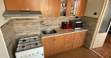 Appartement 1 chambre dans Most, République tchèque