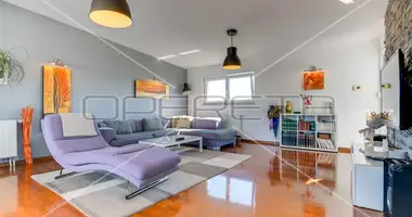 Haus 7 zimmer in Domaslovec, Kroatien