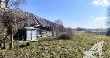 House in Cerninski sielski Saviet, Belarus