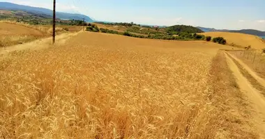 Terrain dans Ierissos, Grèce