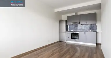 1 room apartment in Vilnius, Lithuania
