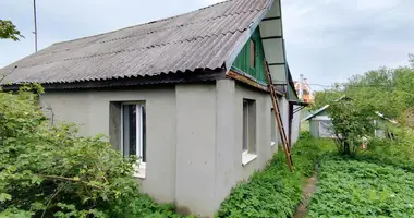 Дом в Смолевичи, Беларусь