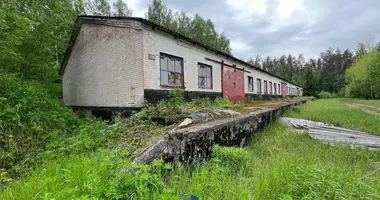 Коммерческое помещение 806 м² в Новоколосовский сельский Совет, Беларусь