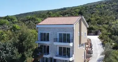 Apartment in Krasici, Montenegro