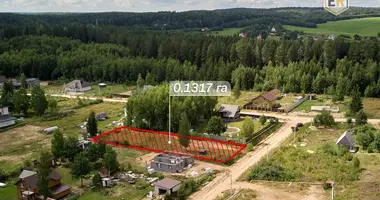 Участок земли в Ждановичский сельский Совет, Беларусь
