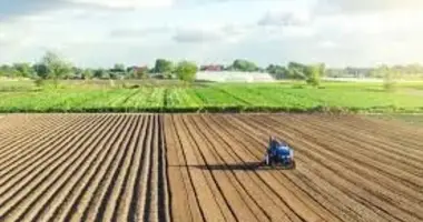 Terrain dans Louvaras, Chypre