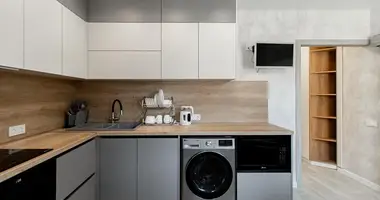 Appartement 1 chambre dans Minsk, Bélarus