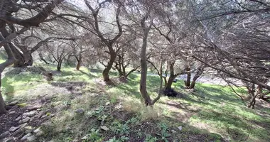 Grundstück in Pentati, Griechenland