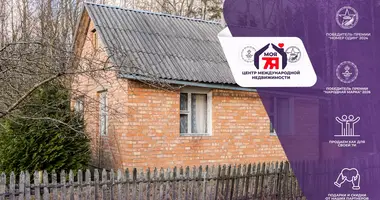 Haus in Dziescanski sielski Saviet, Belarus