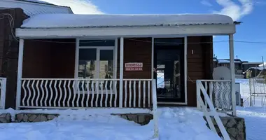 Chalet 2 chambres dans Bordjomi, Géorgie