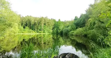 Участок земли в Раковский сельский Совет, Беларусь
