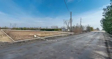 Atterrir dans Vilnius, Lituanie