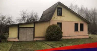Dom w Svabski sielski Saviet, Białoruś