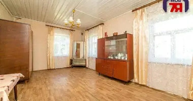 House in Valozynski sielski Saviet, Belarus
