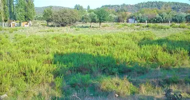 Terrain dans Sykia, Grèce