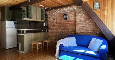 Studio apartment 1 bedroom in Riga, Latvia