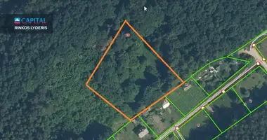 Plot of land in Gervenupis, Lithuania