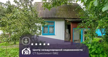 House in Krasnienski sielski Saviet, Belarus