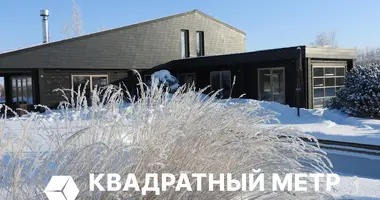 Dom w Dziamidavicki sielski Saviet, Białoruś