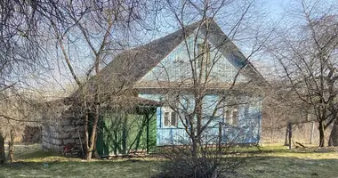 House in Minsk, Belarus