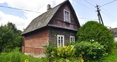 Haus in Piatryskauski sielski Saviet, Belarus