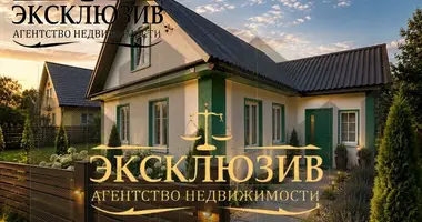 3 bedroom house in Zaslauje, Belarus