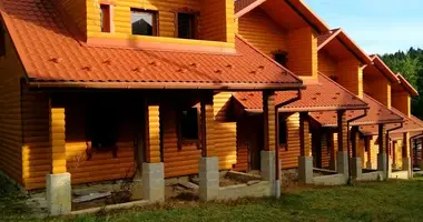 Коммерческое помещение 2 540 м² в Борислав, Украина