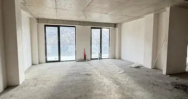 2 bedroom apartment in Tbilisi, Georgia