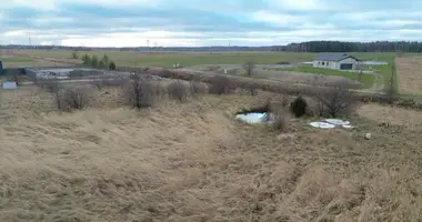 Grundstück in Daupern, Litauen