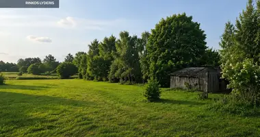 Grundstück in Alitten, Litauen