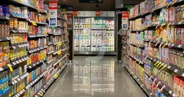 Propriété commerciale 390 m² dans Barcelone, Espagne