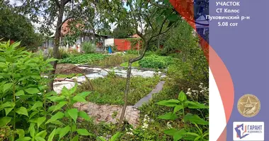 Plot of land in Piarezyrski sielski Saviet, Belarus