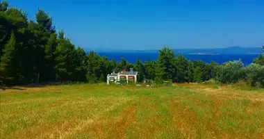 Terrain dans Paliouri, Grèce