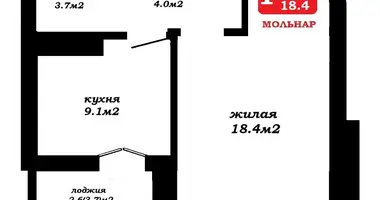 Wohnung 1 zimmer in Navasielle, Belarus