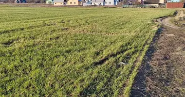 Plot of land in Baravoje, Belarus