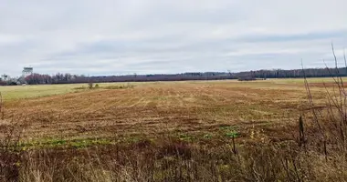 Grundstück in Jaunlutrinu pagasts, Lettland
