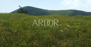 Terrain dans Opcina Mrkopalj, Croatie