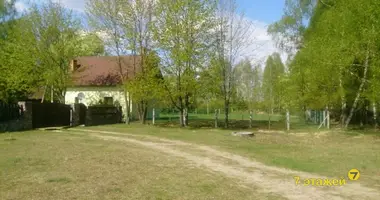 Дом в Селецкий сельский Совет, Беларусь