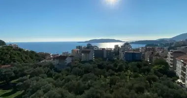 Wohnung 2 Schlafzimmer in Becici, Montenegro